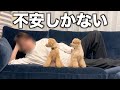 実は色々あって、３人で暮らしています。