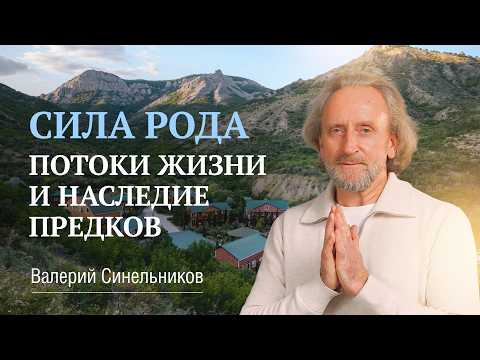 Что такое Сила Рода | Для чего она нам нужна и из чего она состоит | Валерий Синельников