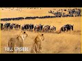 NOMADIC SURVIVAL – Brutal Life on the Savanna (Full Episode) | Nature Animal Documentary