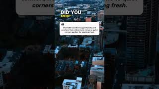 Discover Charlotte's Homes!