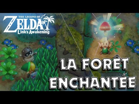 Vidéo: Zelda: Link's Awakening - Emplacement De La Clé De La Queue De La Forêt Mystérieuse Et Comment Utiliser Le Toadstool Pour Passer Le Raton Laveur