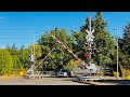 *New E-bell* MAX 404 East: SW 114th Ave, Beaverton, OR