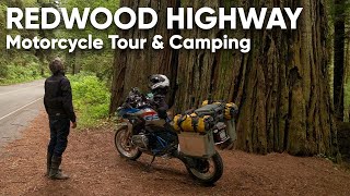 I Camped in a Redwood Forest | Motorcycle Tour and Camping