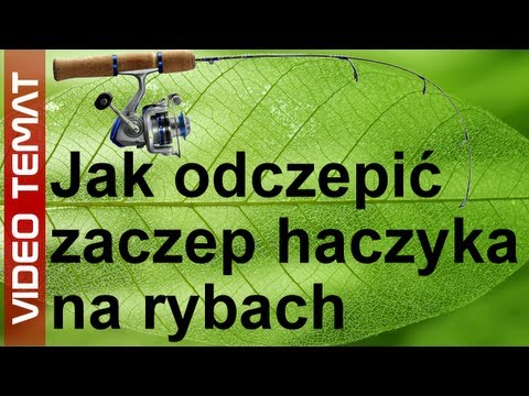 Jak odczepić zaczepiony haczyk na rybach