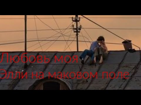 Элли на маковом поле - Любовь моя (текст песни)