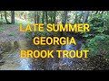 Southern brook trout fishing with a new jp ross rod