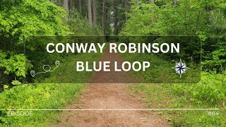 Hike#84 – Conway Robinson Blue Loop at Conway Robinson Memorial State Forest