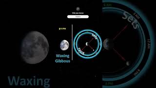 Moon rise and set time #moonrise #moonset  #lunarphases