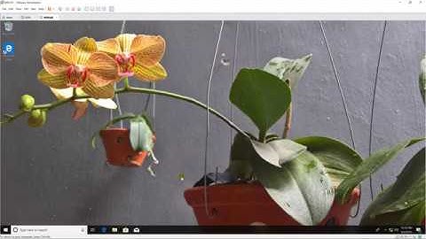 Backup and Restore Group Policy