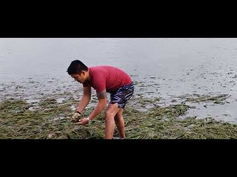 kabibe#fyp#vlogs#ytshort#vlog#viralvideo