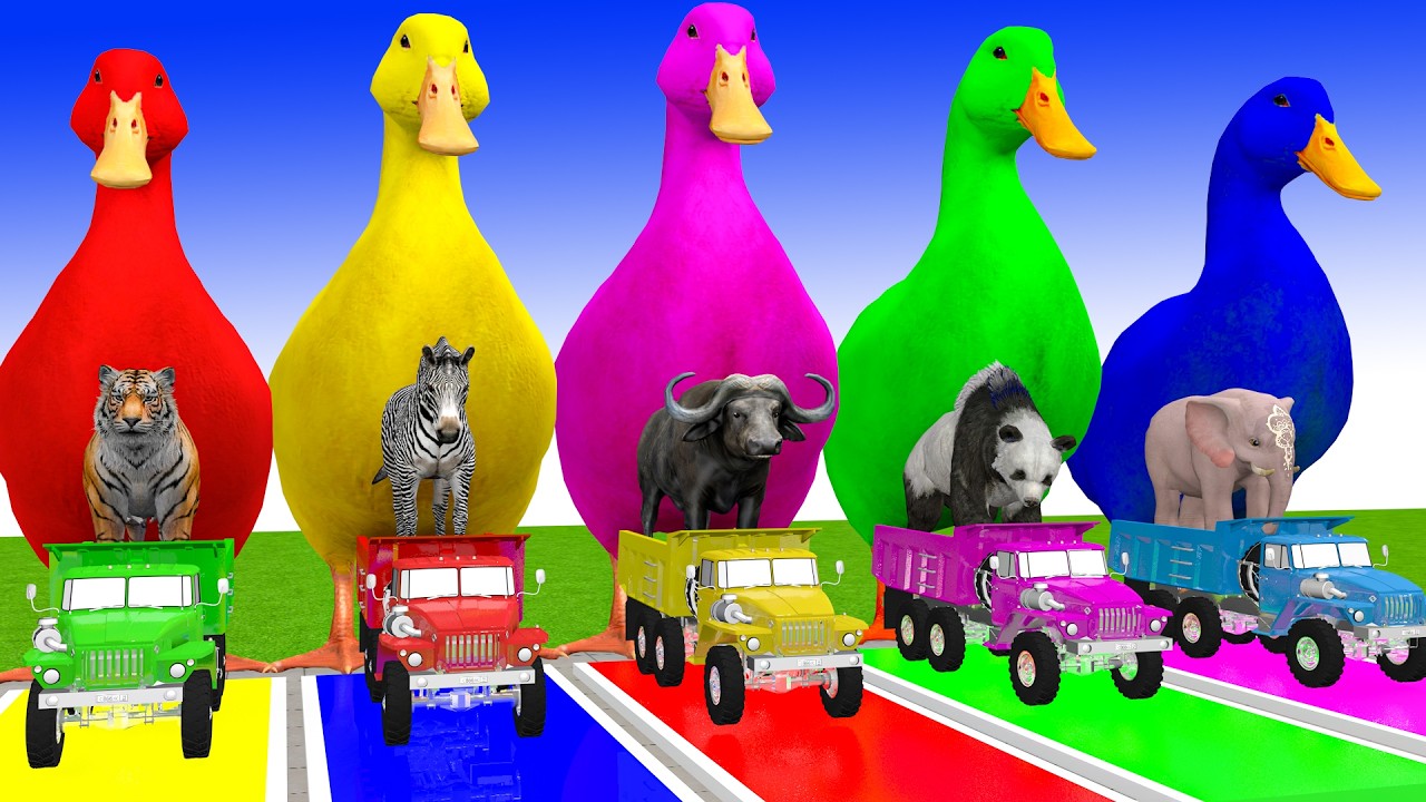 Long Slide Game With Cow Elephant Gorilla Hippopotamus Tiger 3d Animal Game Funny 3d Animals