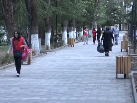 კოსტავას სახელობის ბაღი ერთწლიანი იჯარით ცენტრალურ პარკს გადაეცემა