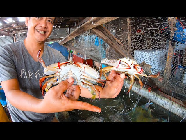 Hidden Seafood Restaurant | Fresh Flower Crabs