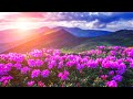 The Most Beautiful Flowers Collection for Relaxation - Soothing Music to Relieve Stress