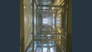 Artistic Backdrops for Crowded Elevators