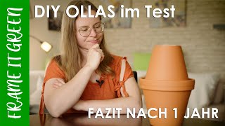 OLLA BEWÄSSERUNG  Fazit & FAQ nach 1 Jahr Erfahrung | Tomate, Zucchini & co! | Frame it Green