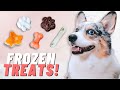 5 Healthy Homemade Frozen Dog Treats