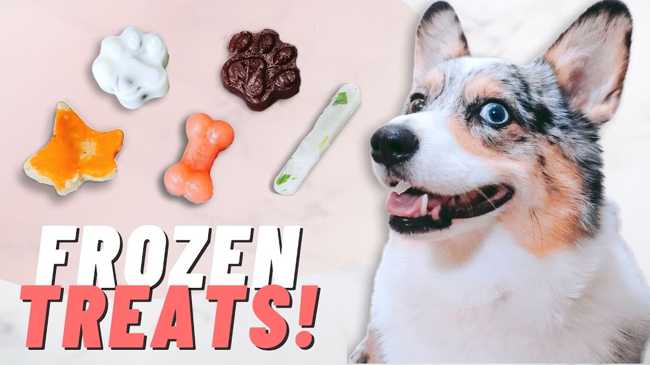 5 Healthy Homemade Frozen Dog Treats YouTube 5-healthy-homemade-frozen-dog-treats-youtube