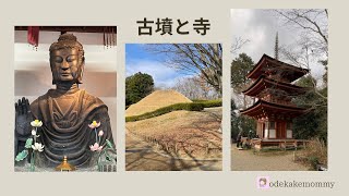 【明日香村めぐり】【浄瑠璃寺】[Visiting Asuka Village] [Joruriji Temple]