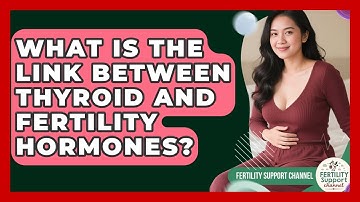 What Is The Link Between Thyroid And Fertility Hormones? - Fertility Support Channel