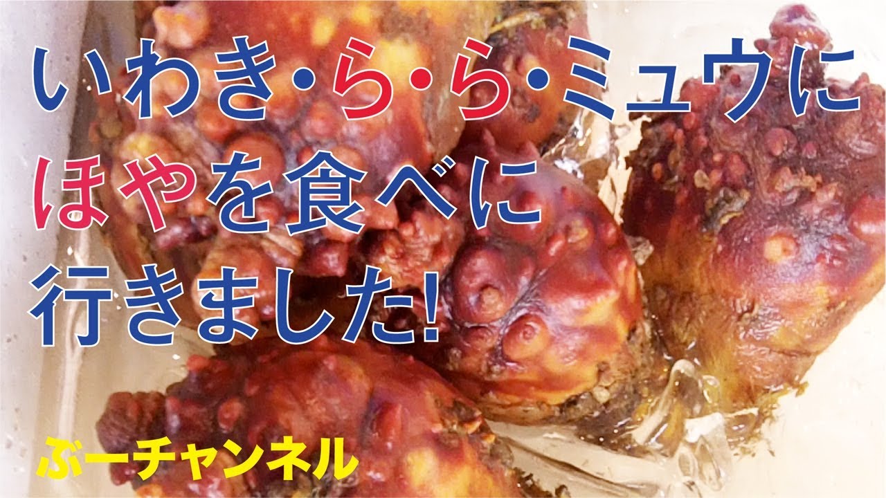 いわき ら ら ミュウにほやを食べにいきました I Ate The Sea Sheath ぶーチャンネル Boo Channel Youtube