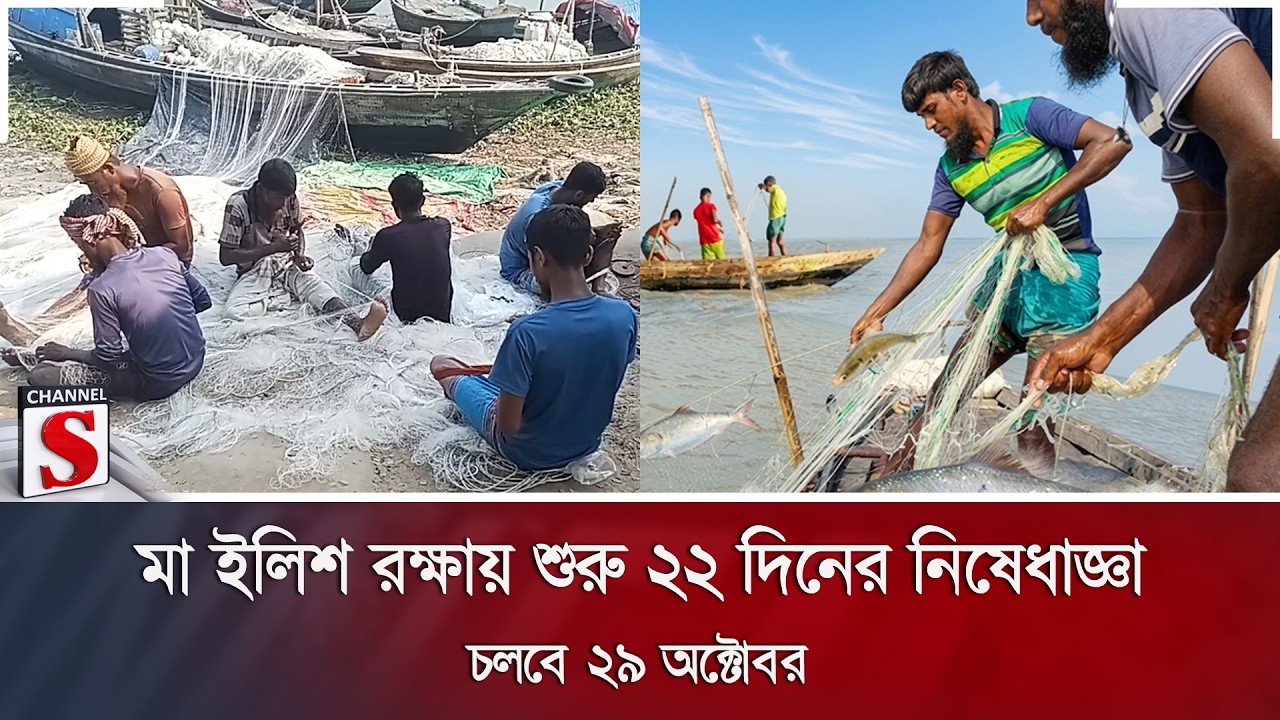 মা ইলিশ রক্ষায় শুরু ২২ দিনের নিষেধাজ্ঞা; চলবে ২৯ অক্টোবর | Channel S News