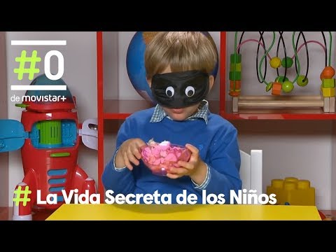 Vídeo: La Vida Secreta De Los Juegos