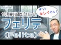 【バスルーム】ハウステック・フェリテ(FELITE)（ユニットバス） bathroom home improvement