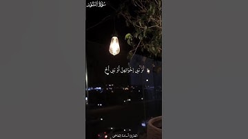 سورة النور | قُل لِّلْمُؤْمِنِينَ يَغُضُّوا مِنْ أَبْصَارِهِمْ | تلاوة خاشعة للقارئ أسامة القاضي 🤎