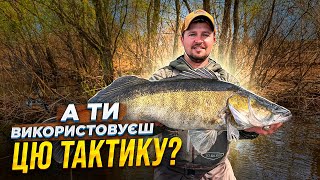 Конкретні поради ЧЕМПІОНА. Техніка і тактика лову ТРОФЕЇВ