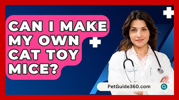 Can I Make My Own Cat Toy Mice? - PetGuide360.com