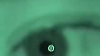 Shape shifting reptilian eye close up