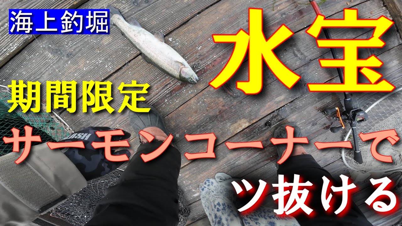 【海上釣堀】初挑戦！水宝サーモンコーナーでツ抜ける！！