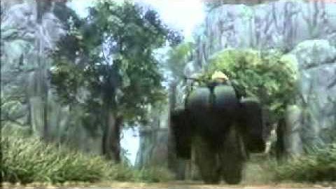 Final Fantasy Priest