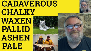 🔵 Ashen Meaning - Waxen Defined - Cadaverous Explained - Pale Pallid Waxen Chalky Ashen Cadaverous