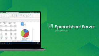 Spreadsheet Server for NetSuite Overview
