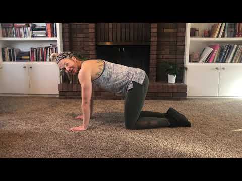 Scapula Push Up Progressions