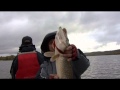 Моя рыбалка: Щуки Чебоксарского водохранилища ч.1