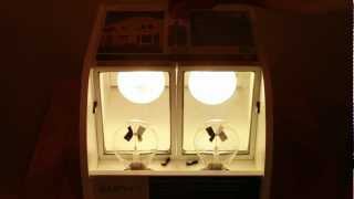 Jeld-Wen Window Energy Test (Jeld-Wen right)