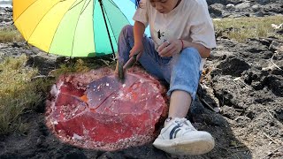 How to dig out amethyst, red spar/color/quartz/surprise diamond from beach rocks