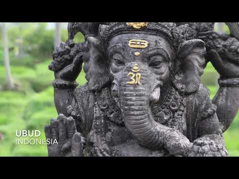 Ubud Indonesia 2024