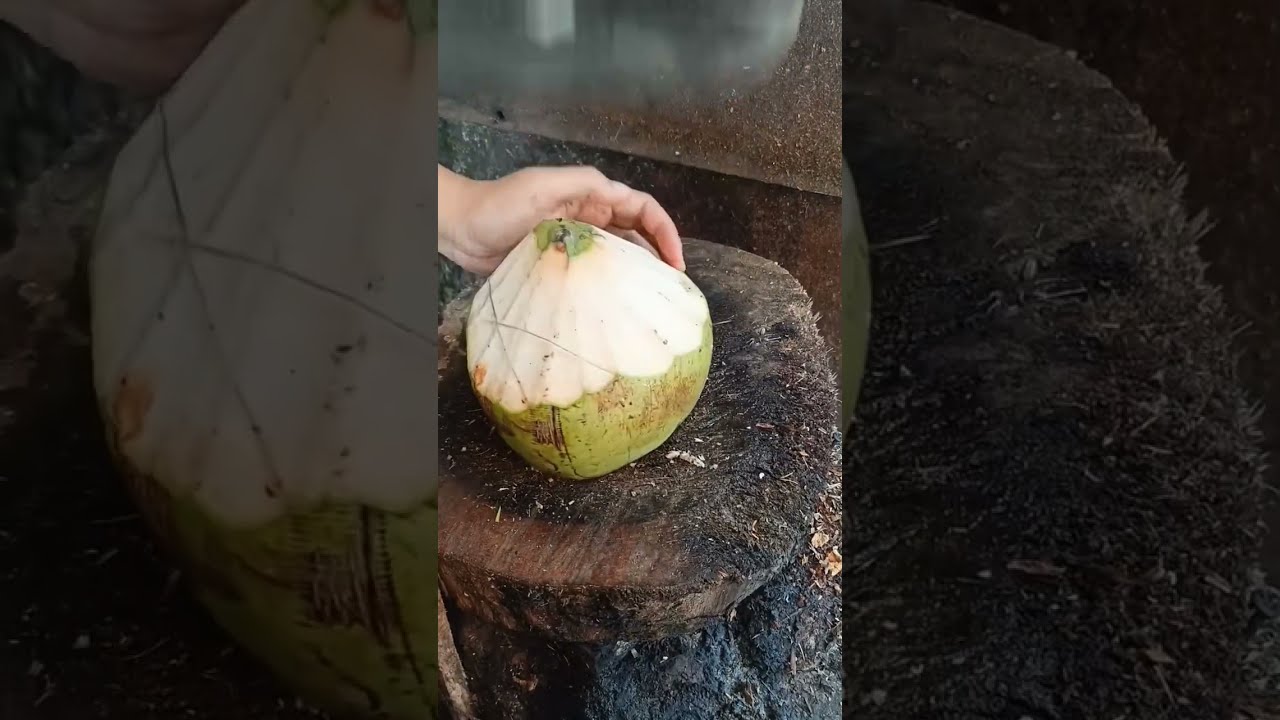 Amazing Coconut Opening Art By A Professional Truly Impressive 