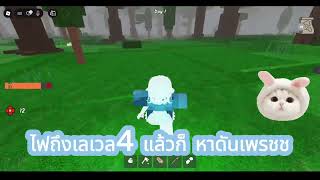 v1c025g50000d5rif1fog65taf135sk0