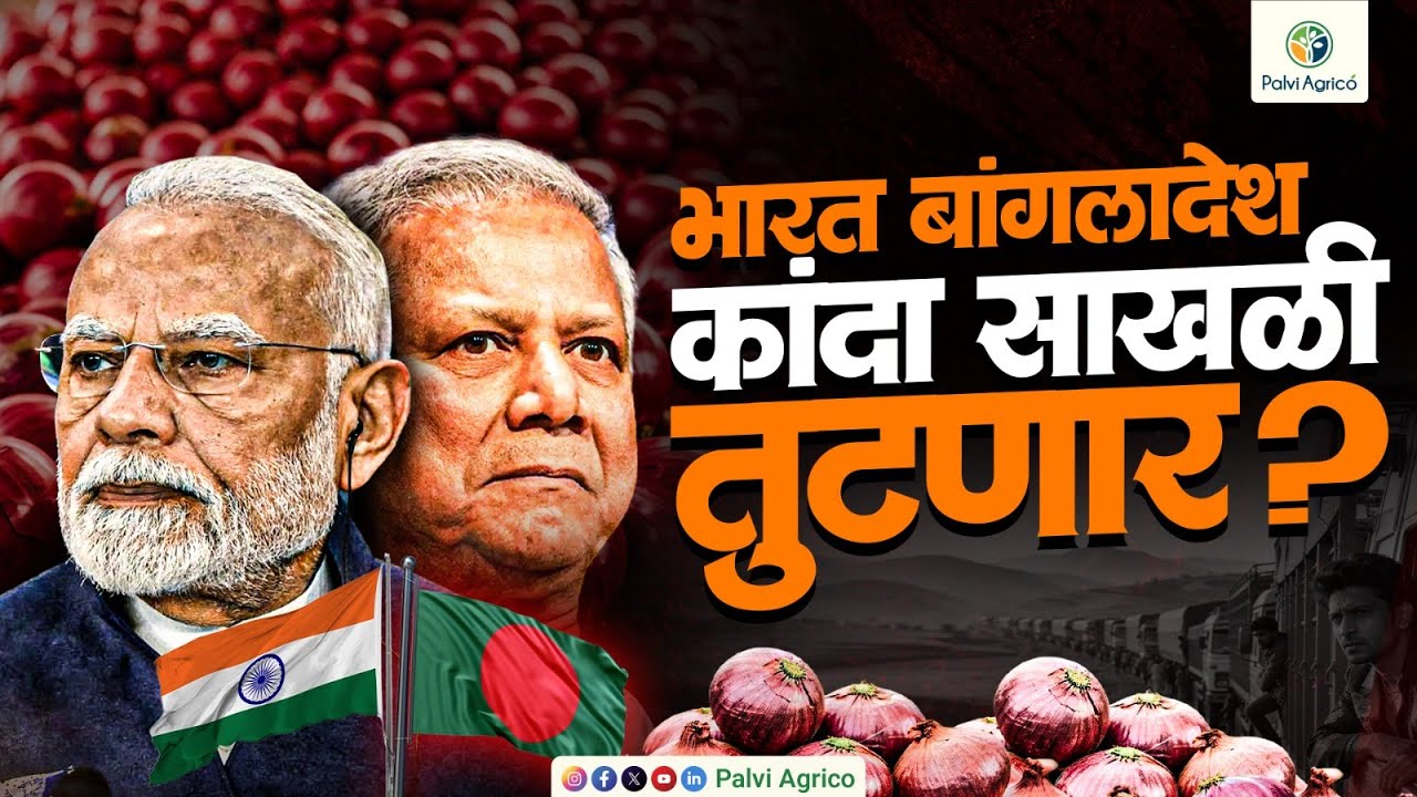 भारत बांगलादेश कांदा साखळी तुटणार