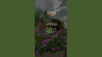#اكسبلور #تلاوة_خاشعة #راحة_نفسية #قرآن_كريم_أرح_قلبك_وسمعك #تيك_توك #حالة_وتساب