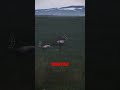 Less Than 200 000 Credits To Go Hunting Less Than 200 000 Credits To Go Hunting