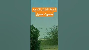 ‏تلاوة القرآن الكريم بصوت جميل للشيخ عبد الباسط ￼#القرآن_الكريم #shortvideo #quran #اكسبلور #reels