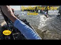 "Speckle Trout Action" along the Trestles   Lake Pontchartrain