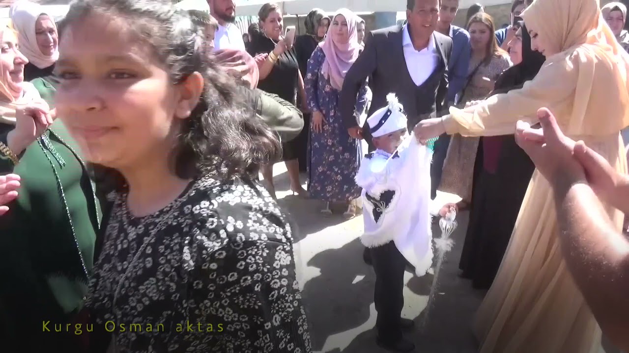 HALAY KÖÇEK COŞKU TEMPO RİTİM hepsi burda😍