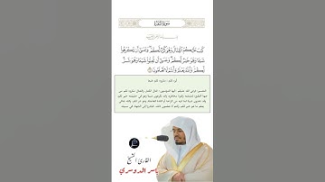 الآية (216) من سورة البقرة //القارئ الشيخ ياسر الدوسري.